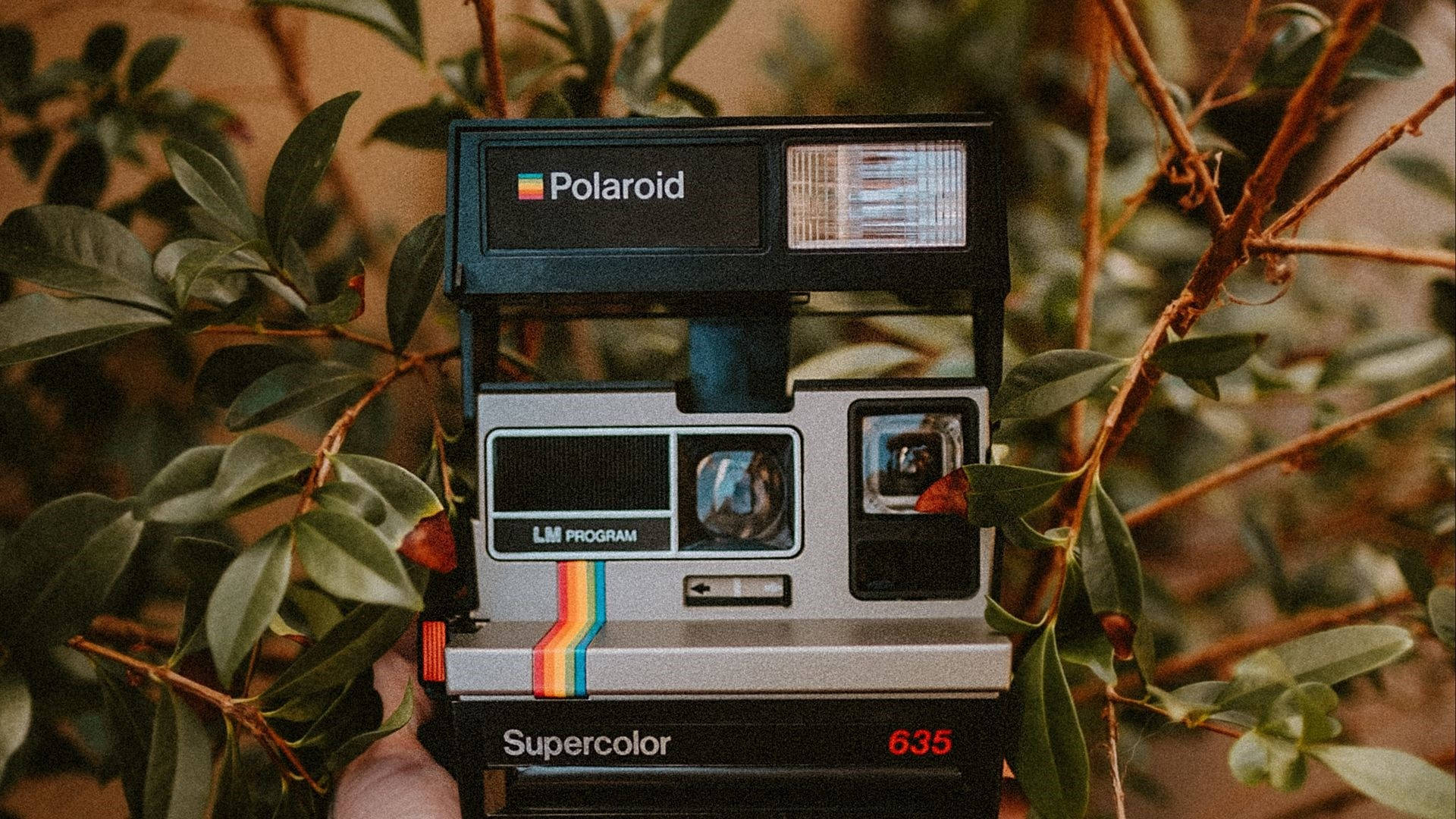 Polaroid Supercolor wallpaper