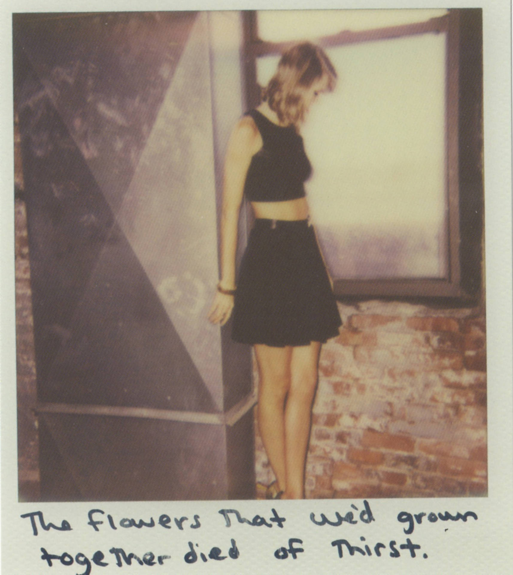 Polaroid Taylor Swift Wallpaper