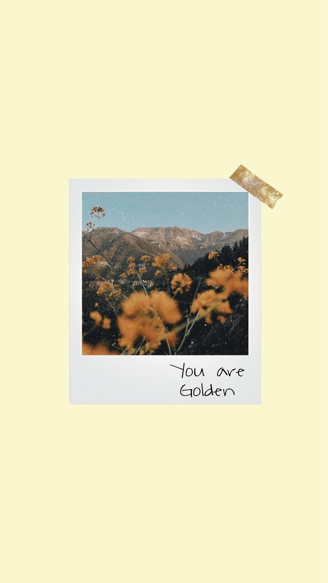 Polaroid Yellow Flowers Wallpaper