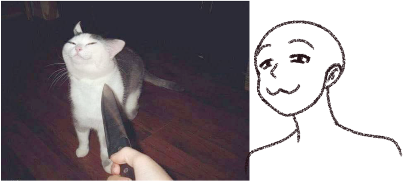 Polite Cat Memeand Drawing PNG