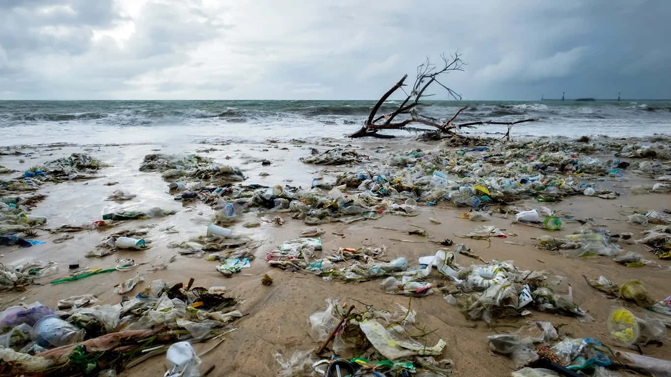 Plastic Waste On The Beach