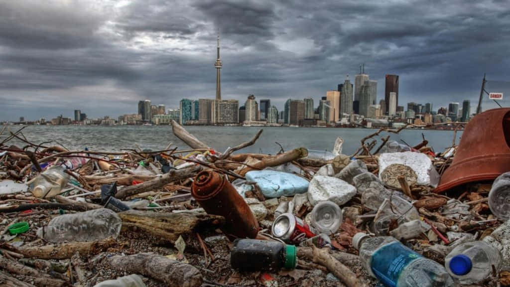 A Beach With Garbage And A City Skyline