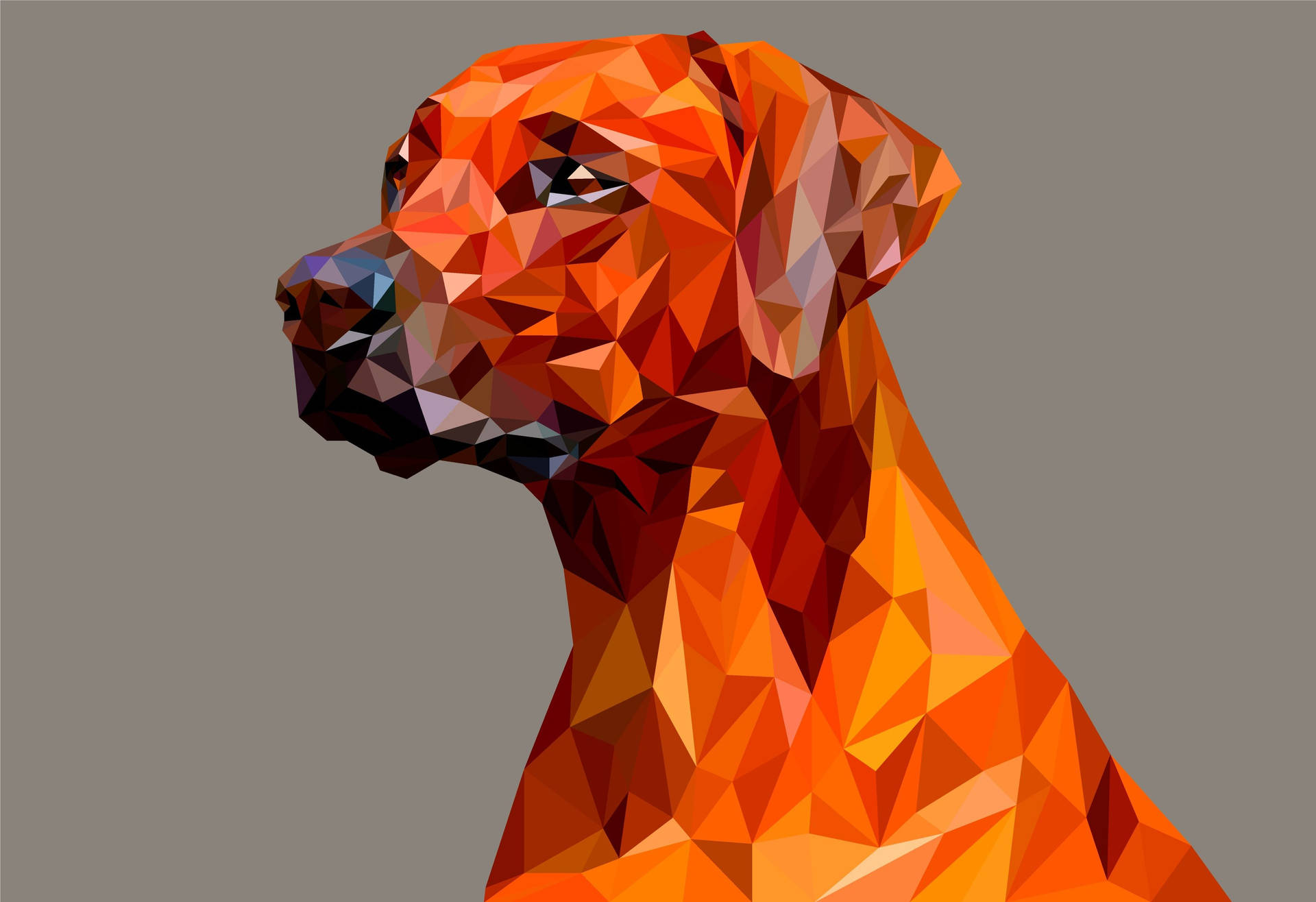 Polygonhundkonst. Wallpaper