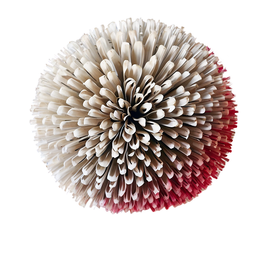 Pom Poms D PNG