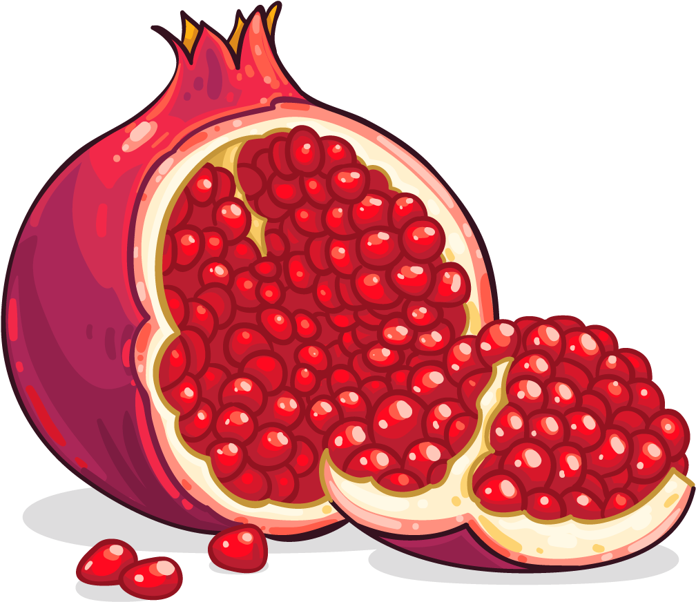 Pomegranate Illustration Cut Open PNG