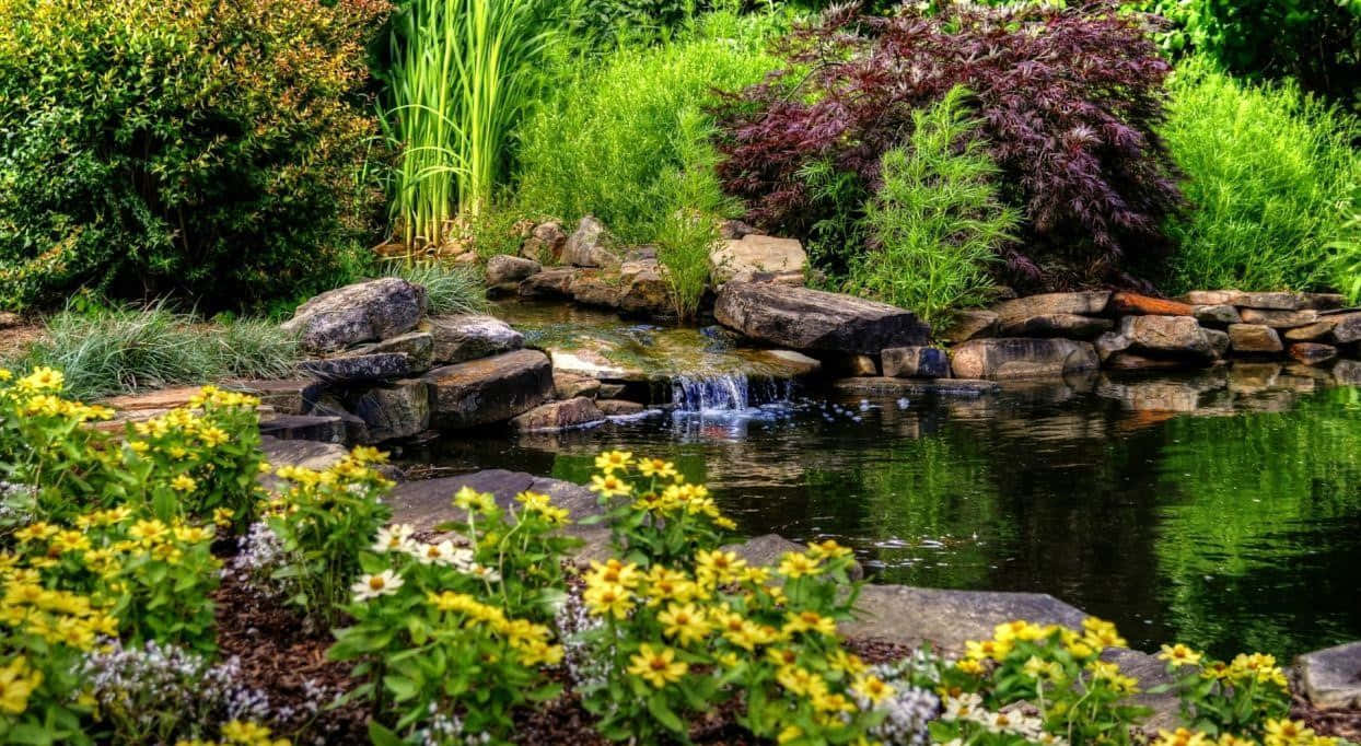 Atmeden Frieden Und Die Ruhe Der Natur Ein; Entspanne Dich In Einem Teich
