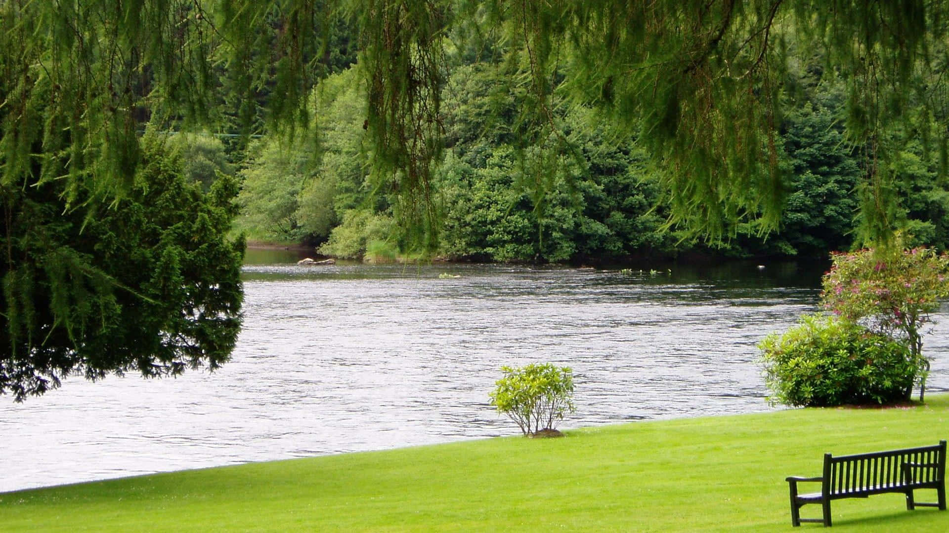 Einmalerischer, Natürlicher Teich Umgeben Von Grün.