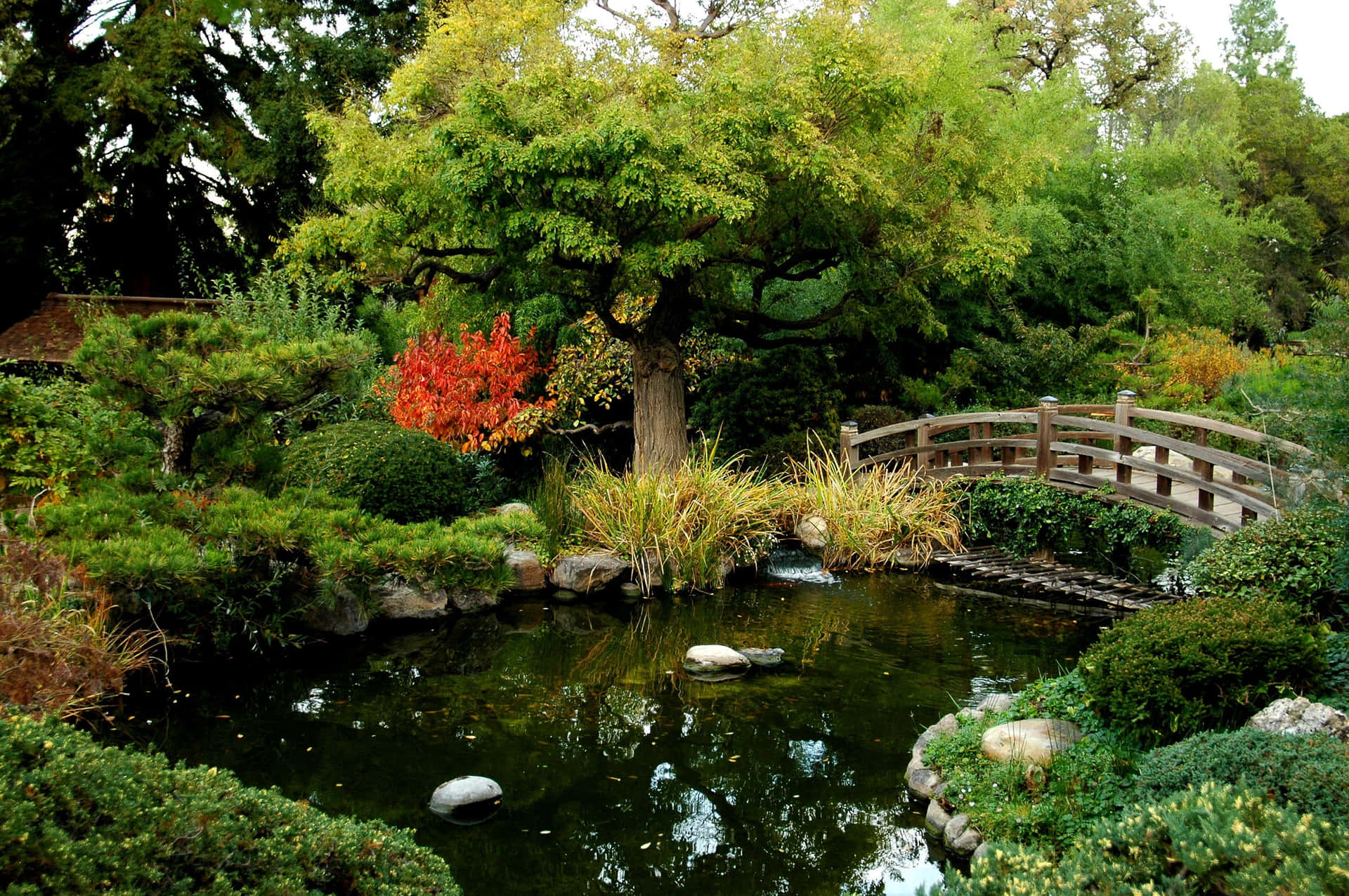 Find peace at the Tranquil Pond