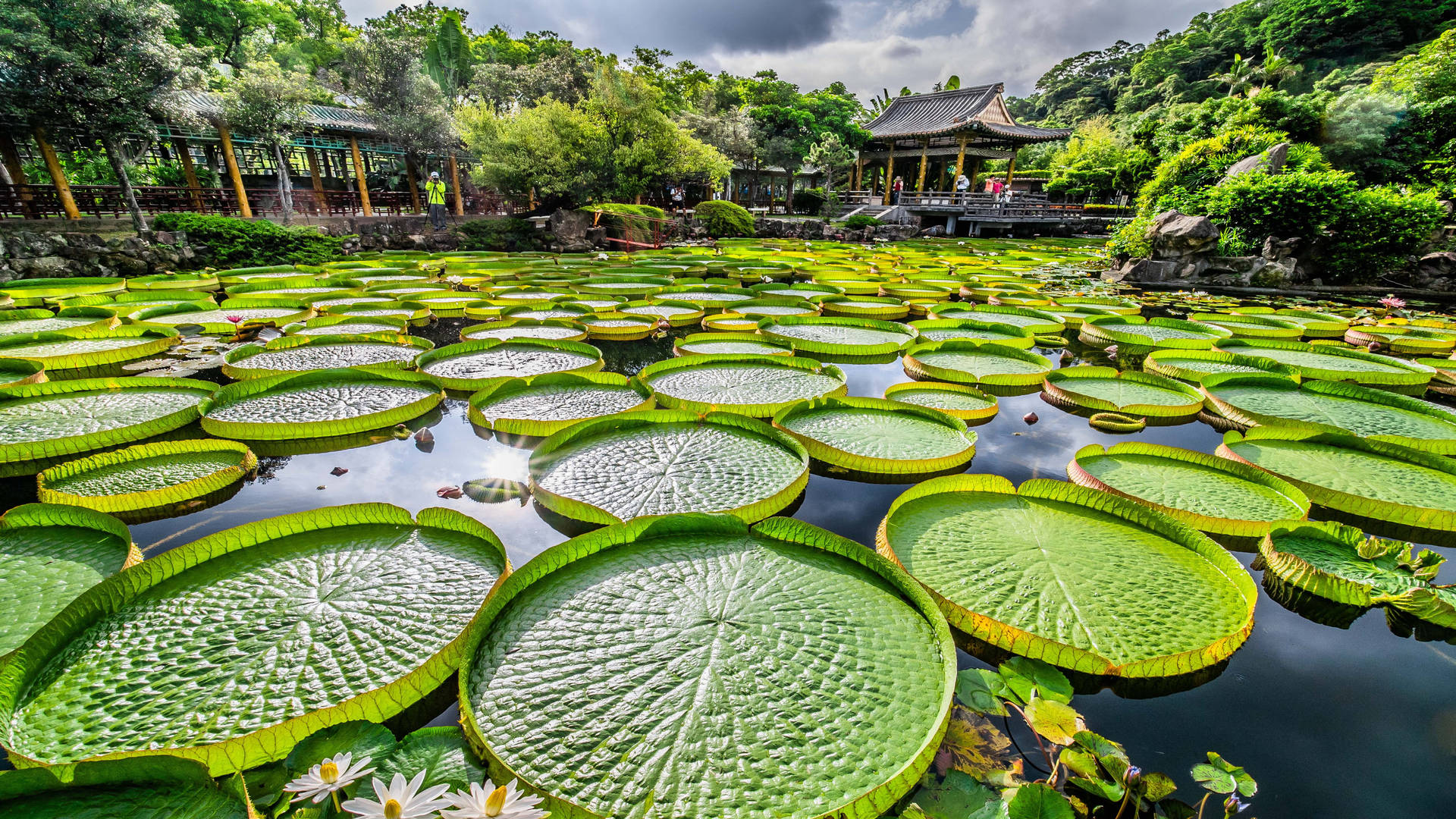 Lagoano Parque Shuangxi Em Taipei. Papel de Parede