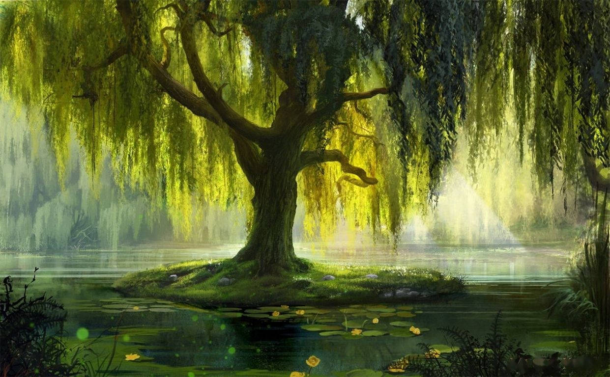 Pond Willow Tree Art
