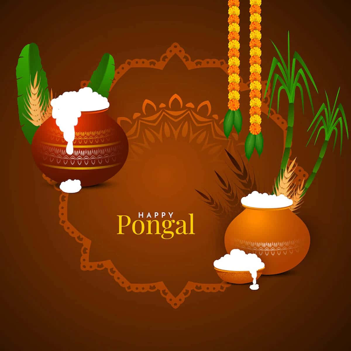 Celebrate the colorful Pongal festival with love and happiness