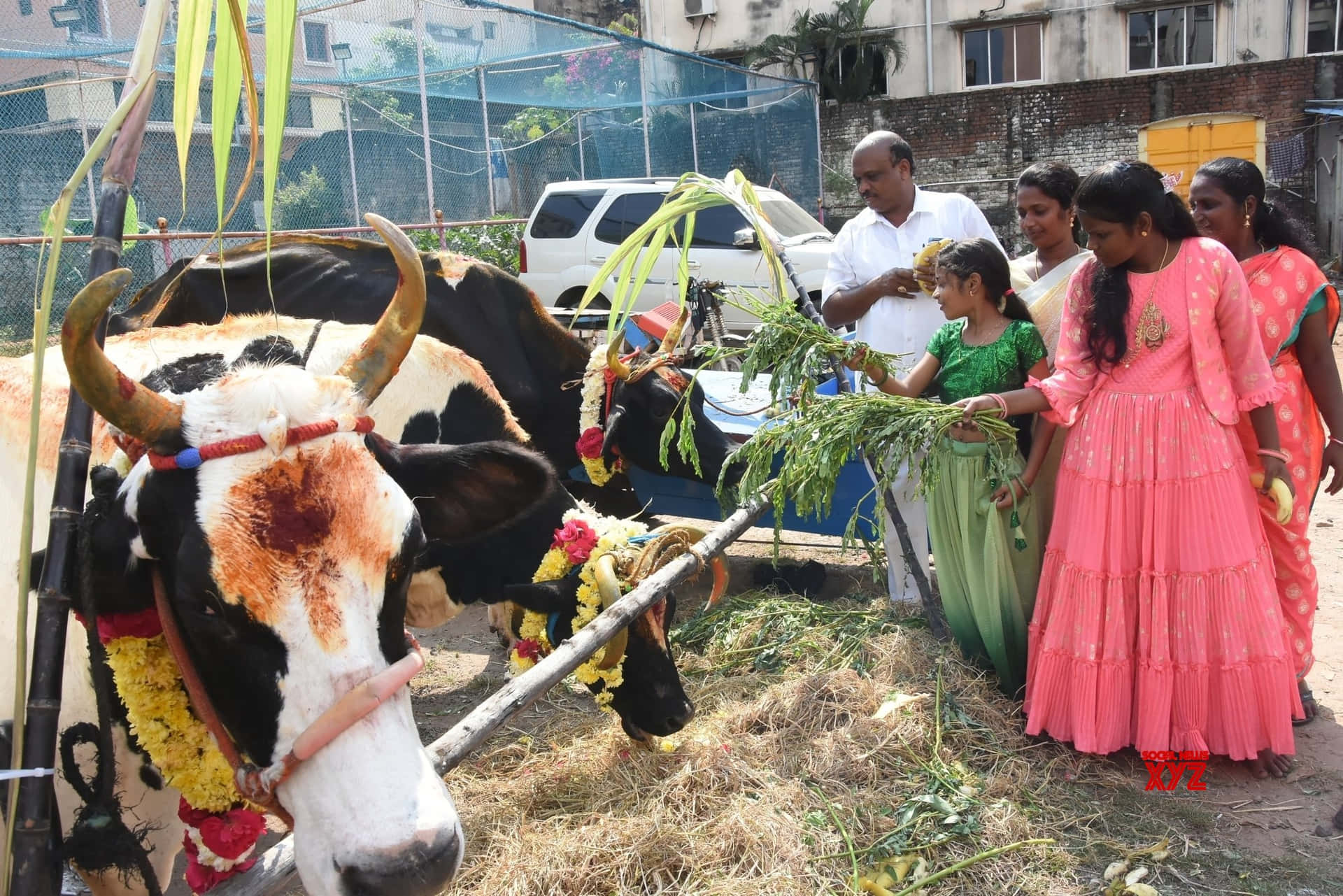 Joyful Pongal Celebrations with Traditional Decor and Sweets