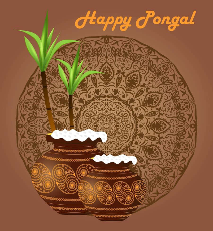 Joyous Images of Pongal Celebration