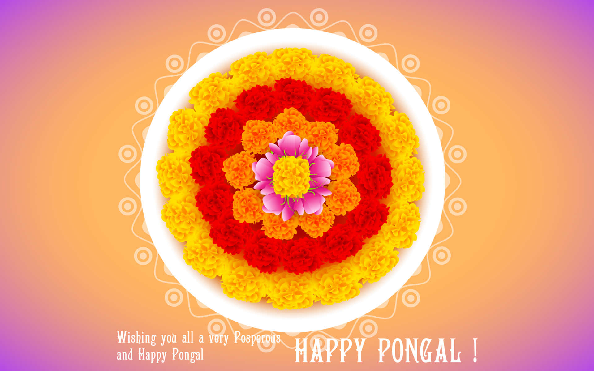 Celebrate Pongal with joy and love