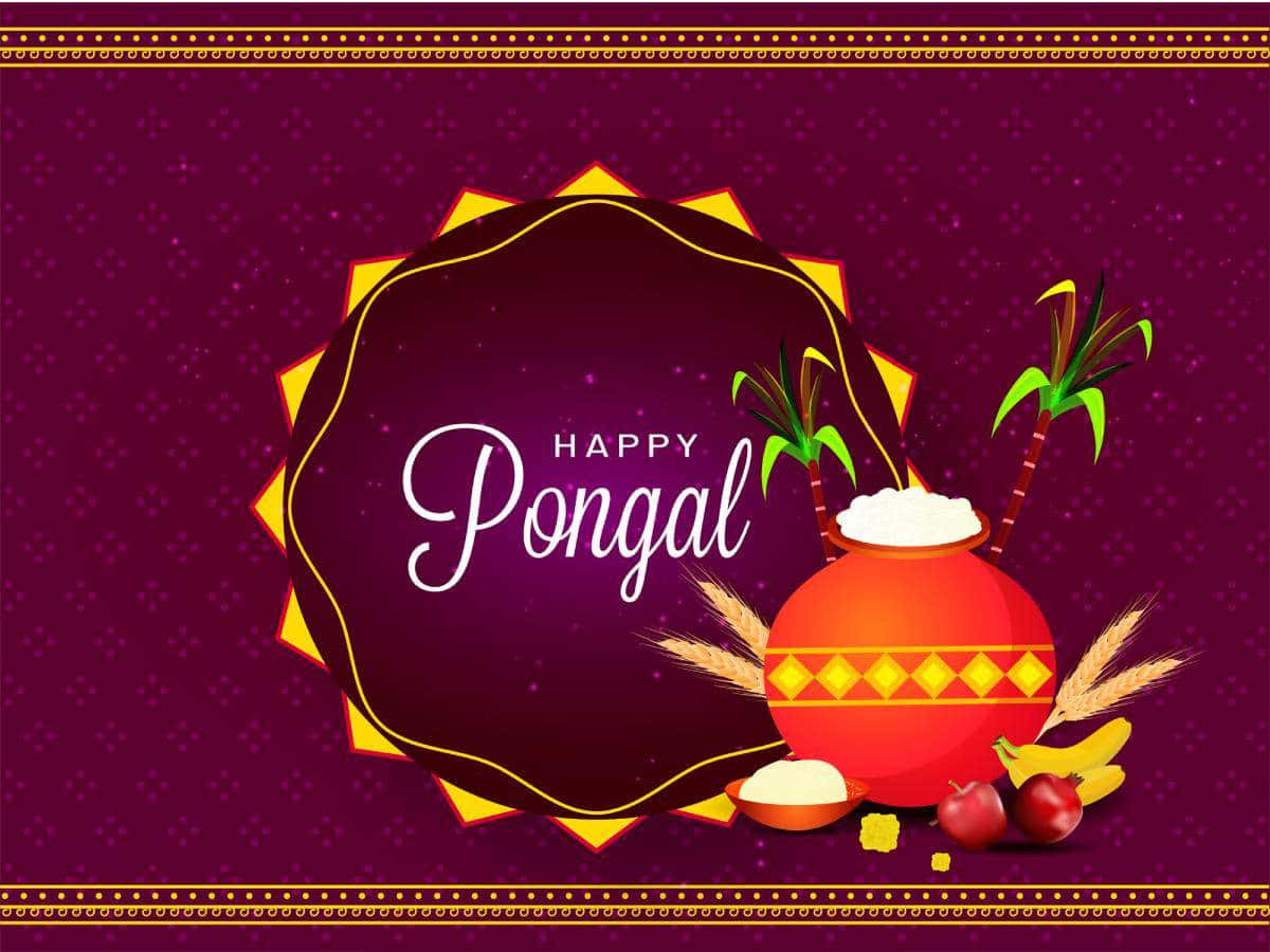 Celebrate the Festival of Pongal