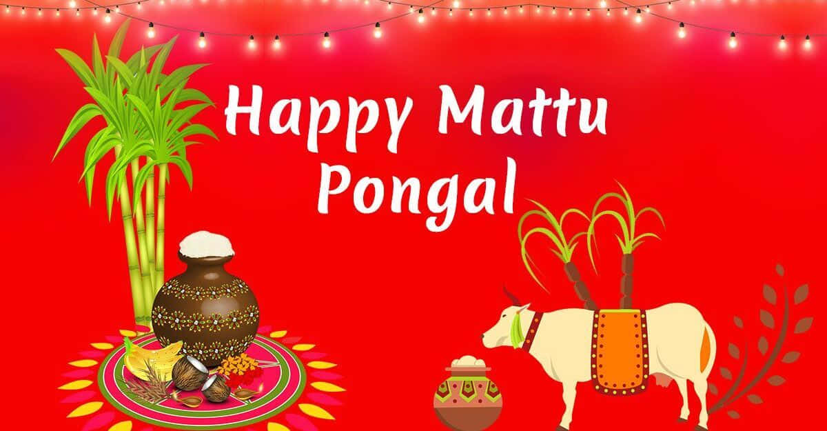 Enjoying the festivities of Pongal