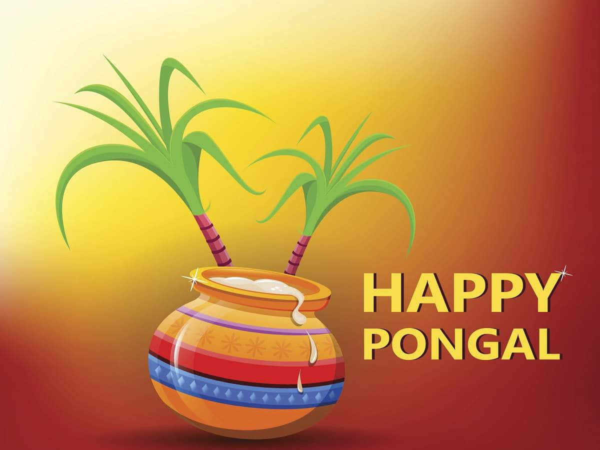 Happy Pongal Images, Pongal Images, Pongal Images, Pongal Images, Pongal Images, Pongal Images,