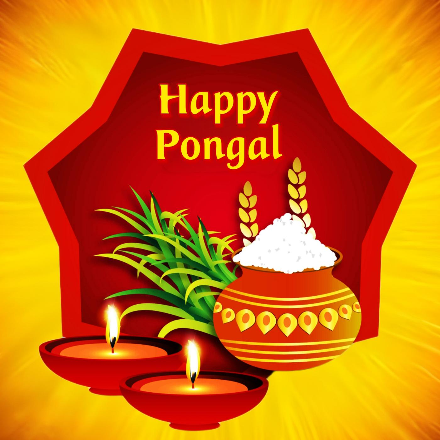 Celebraçãodo Pongal.
