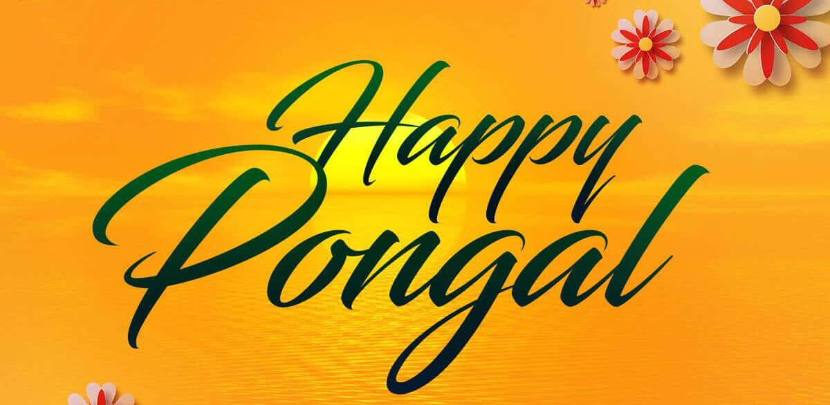 Celebrating Pongal with festive decorations