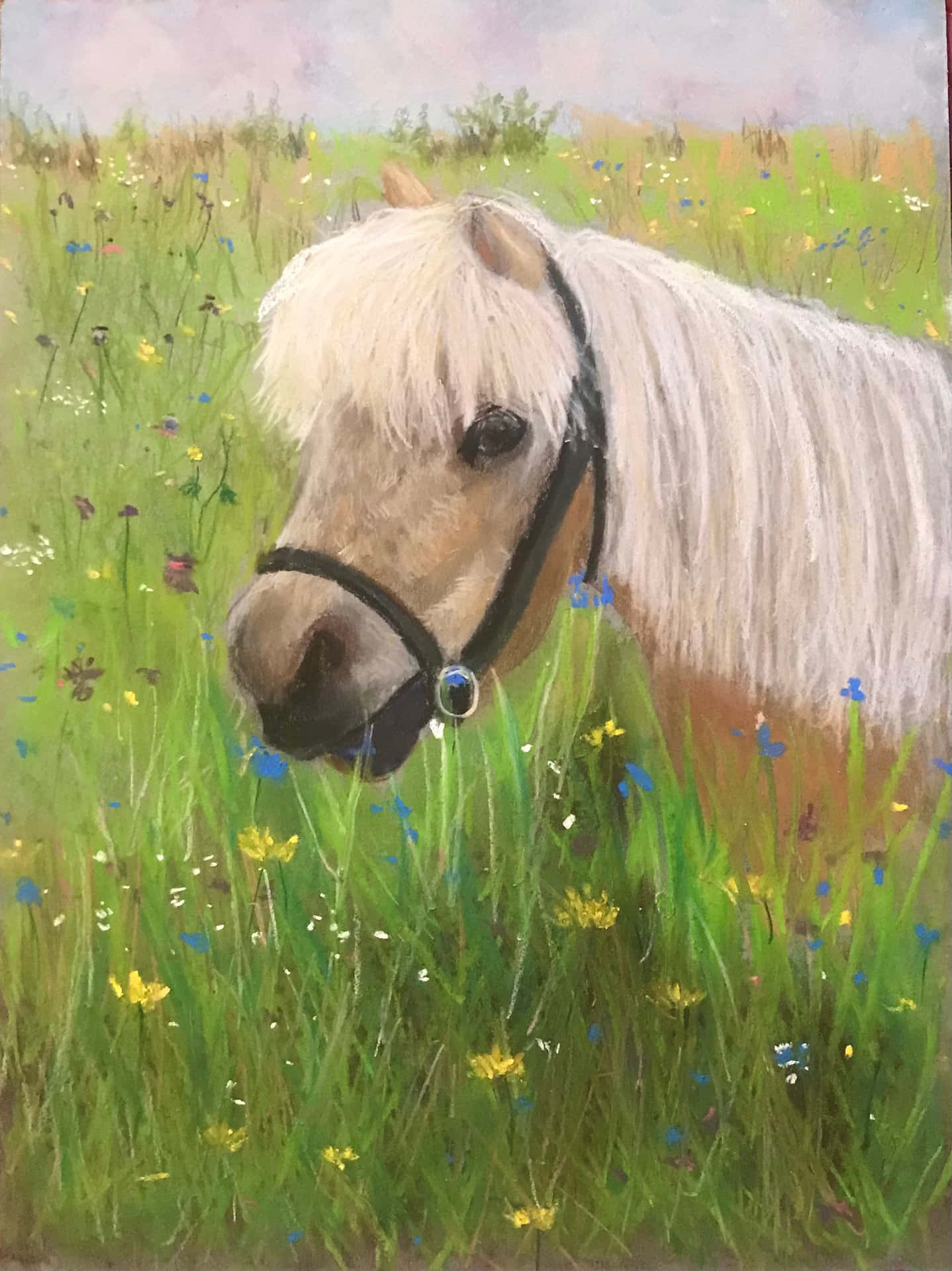 A beautiful pony lounging in a meadow on a sunny day
