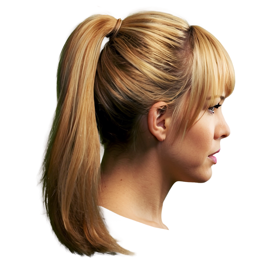Ponytail D PNG
