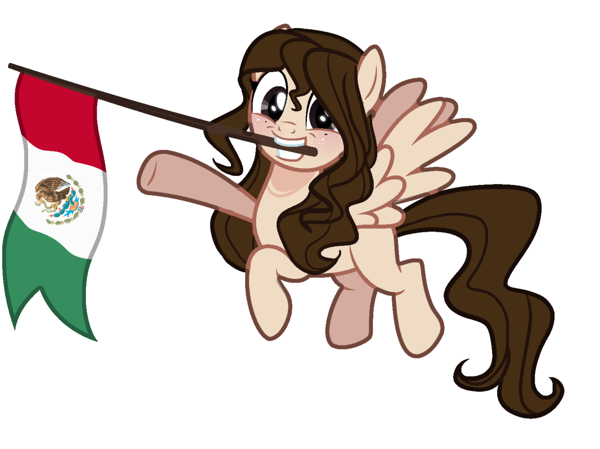 Ponywith Mexican Flag PNG