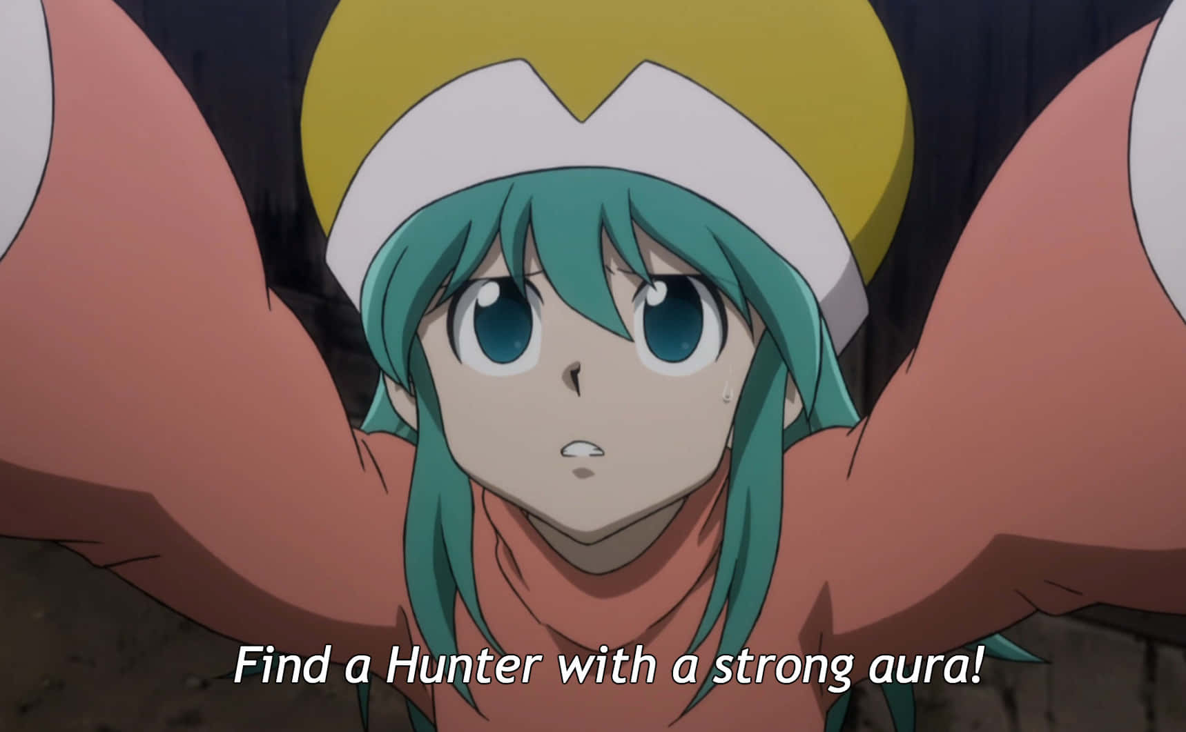 Ponzu Dari Hunter X Hunter Di Hutan Subur Wallpaper