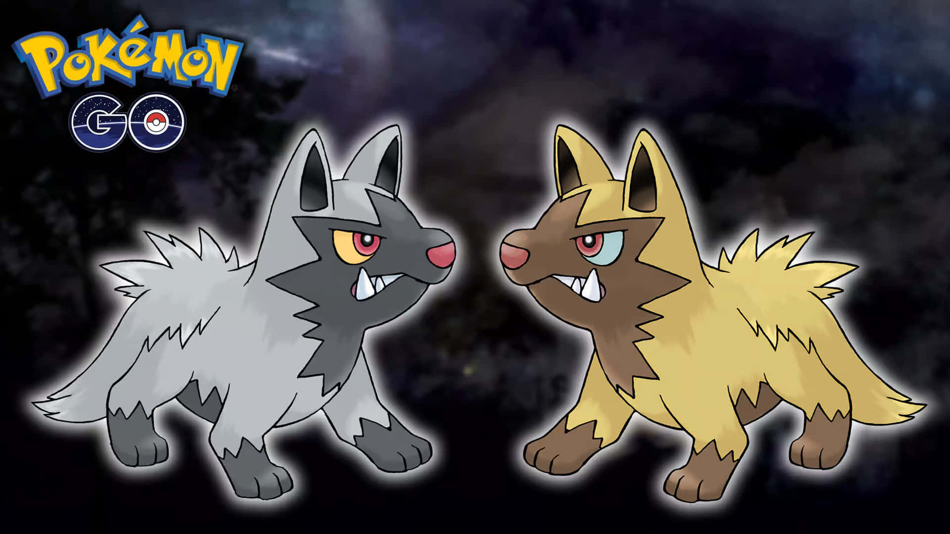 Poochyena Pokemon G O Promo Wallpaper