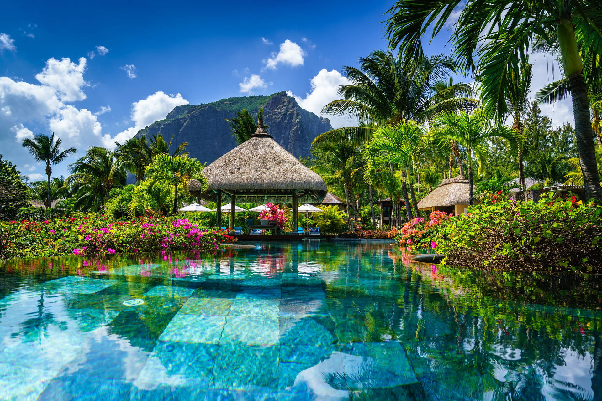 Poolpå Mauritius (note: This Sentence Is Already Correct In Swedish And Does Not Require Any Translation) Wallpaper