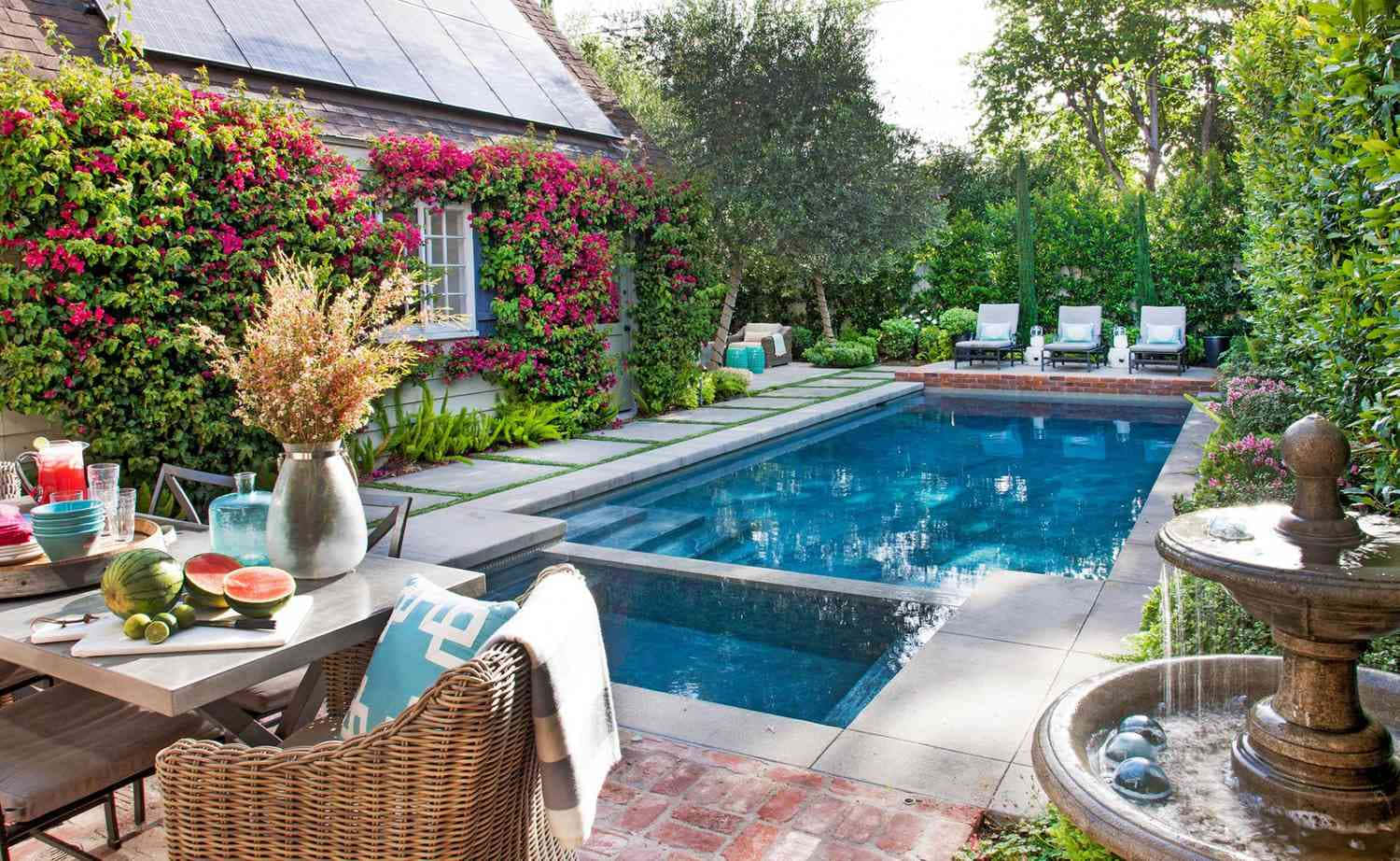 Pool Surrounded By Plants Picture