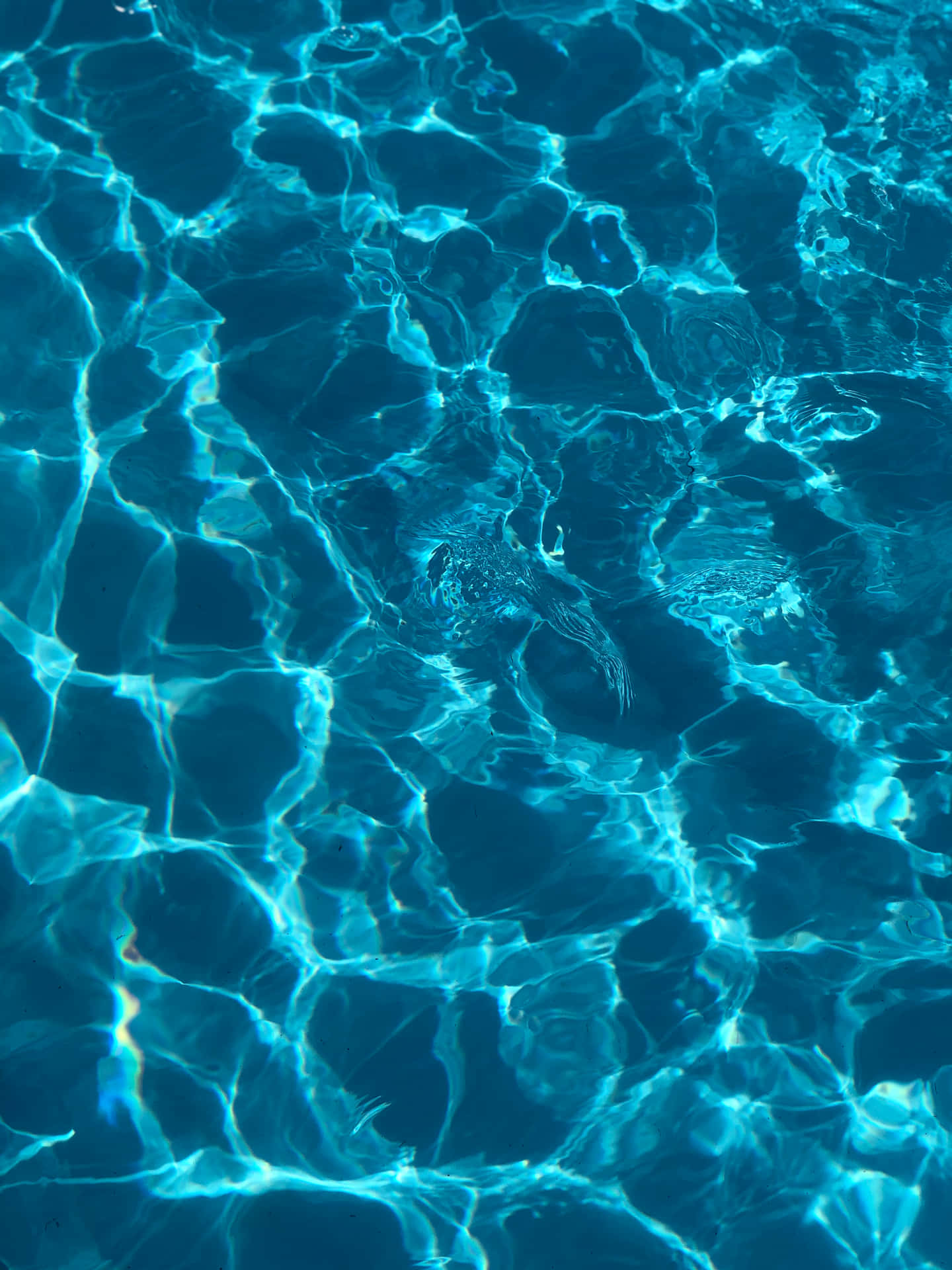 A pristine pool of refreshingly cool water