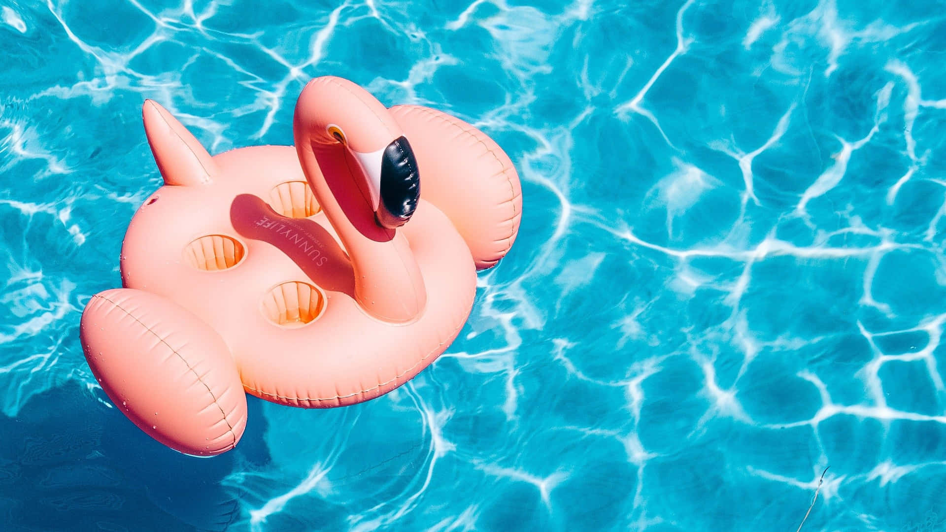 Pool Water Flamingo Floater Wallpaper