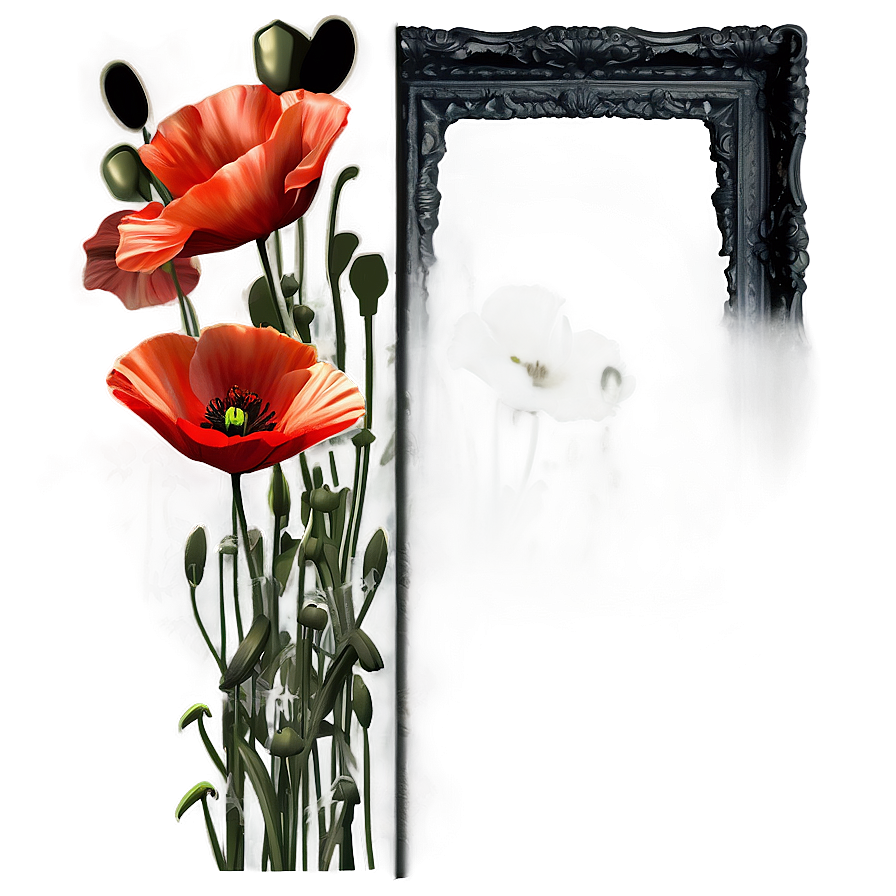 Download Poppies Frame Png 05252024