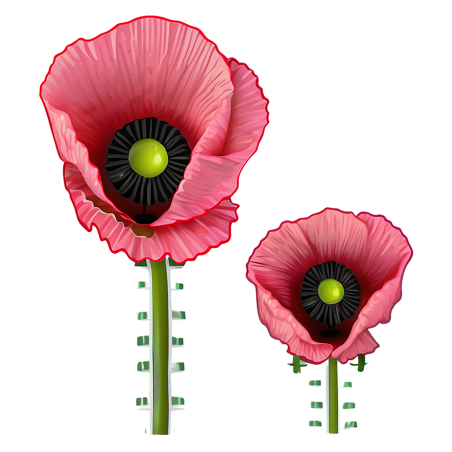 Poppy Flower Outline Png Kwa PNG