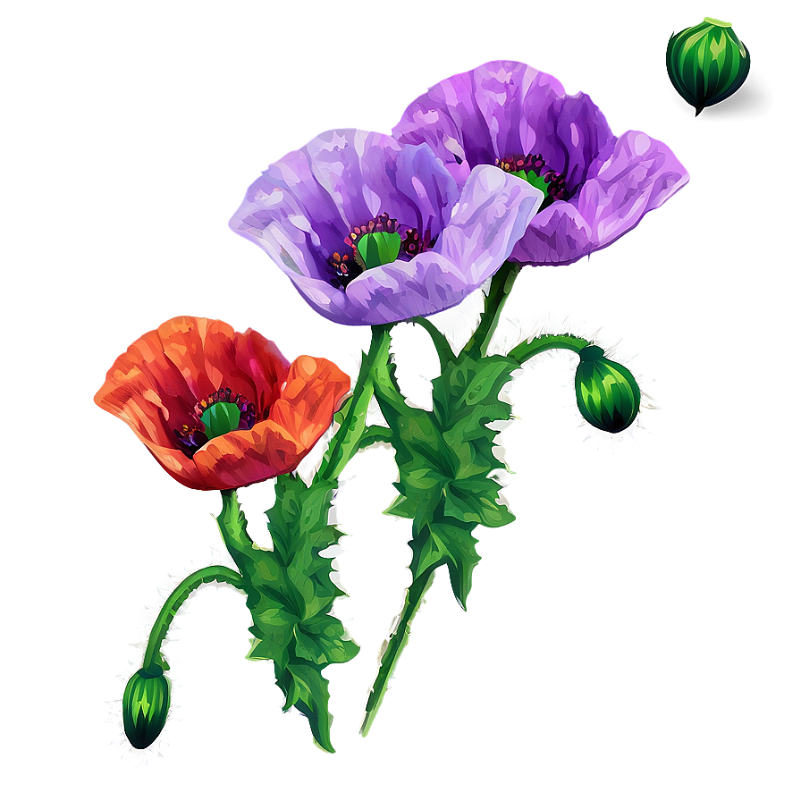 Poppy Flower Sticker Png 93 PNG
