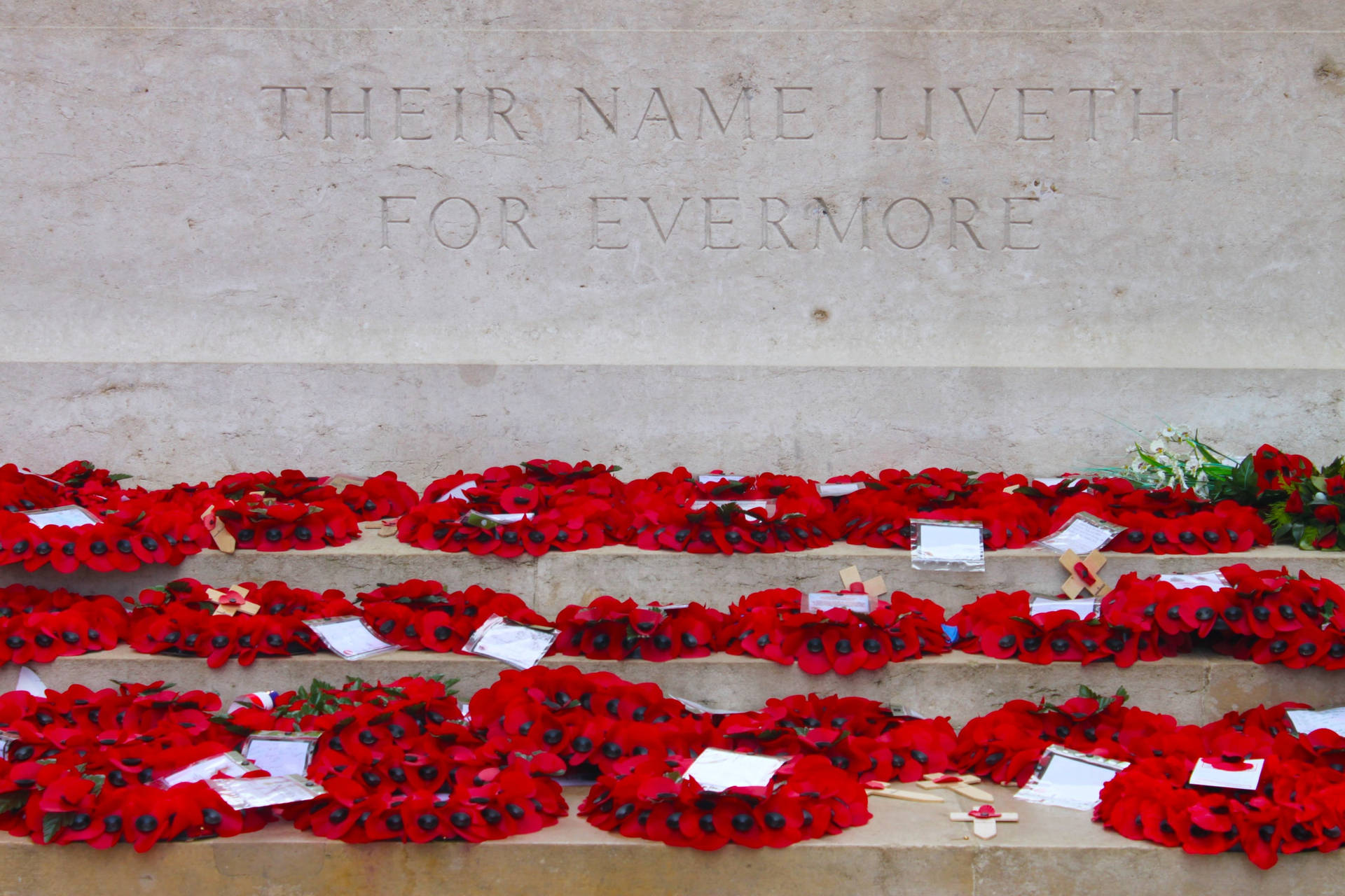 Poppy Wreaths For Remembrance Day Wallpaper