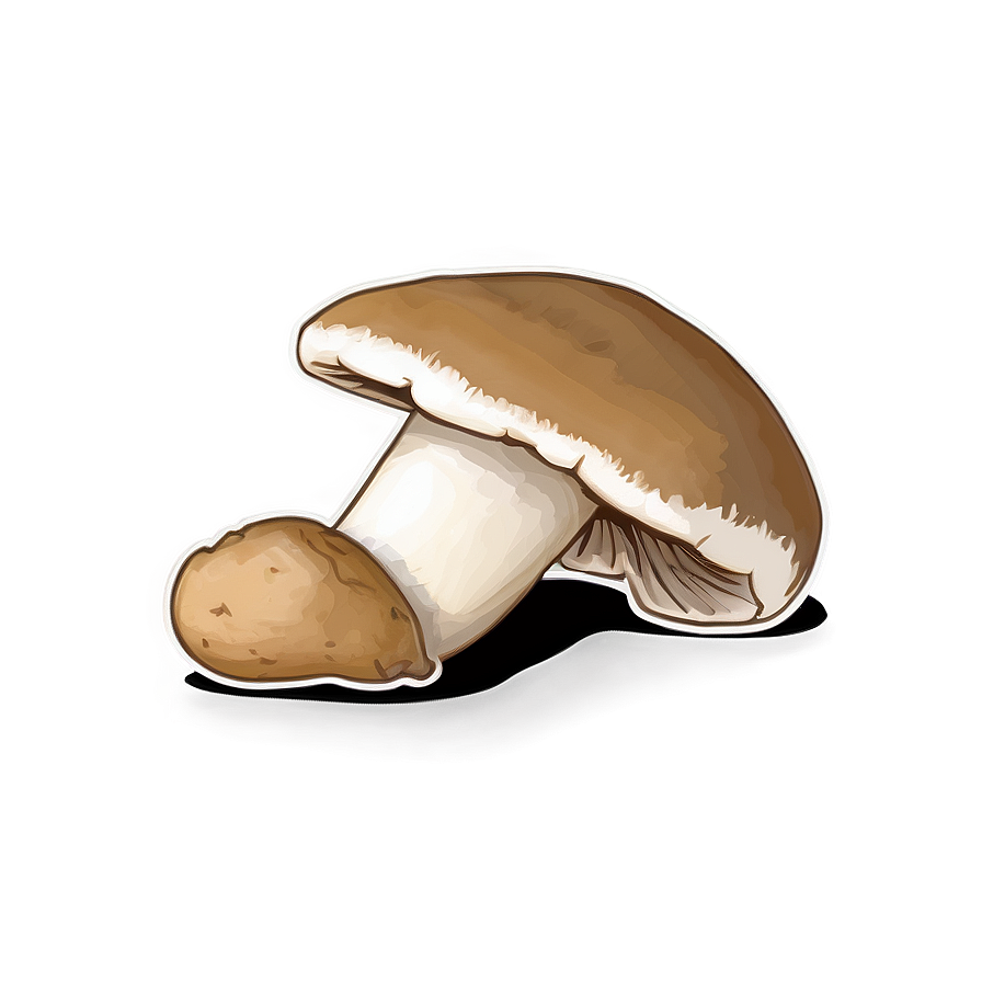 Download Porcini Mushrooms Png Cdi46 | Wallpapers.com