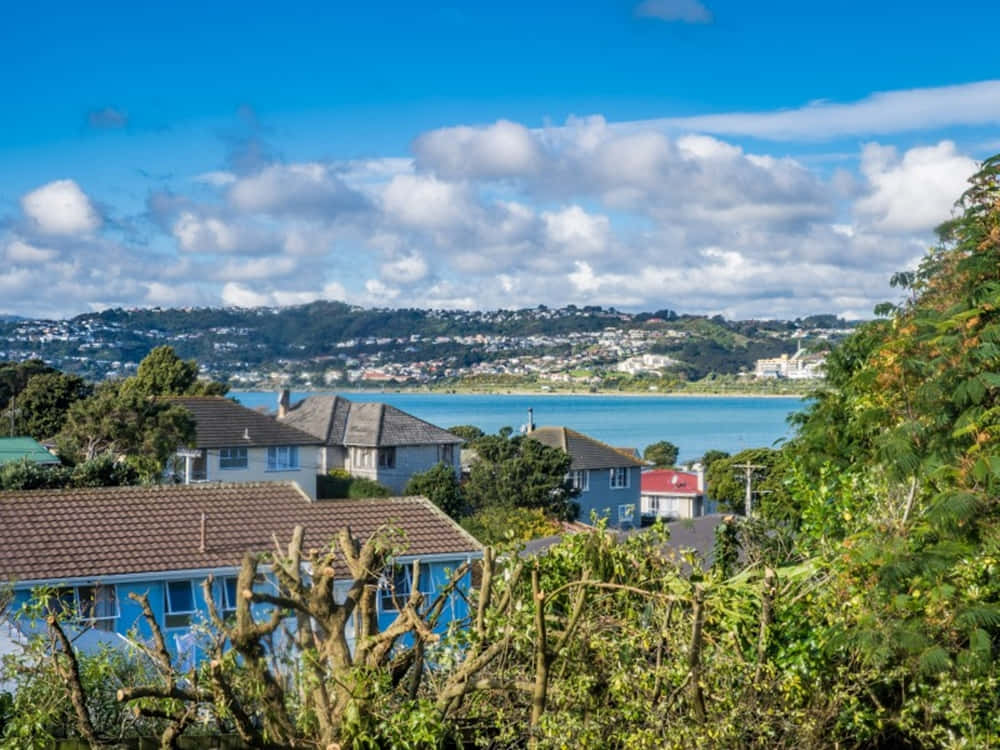 Porirua Coastal Residential Area New Zealand Wallpaper