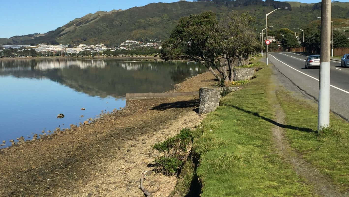 Porirua Coastal Roadside Scenery Wallpaper