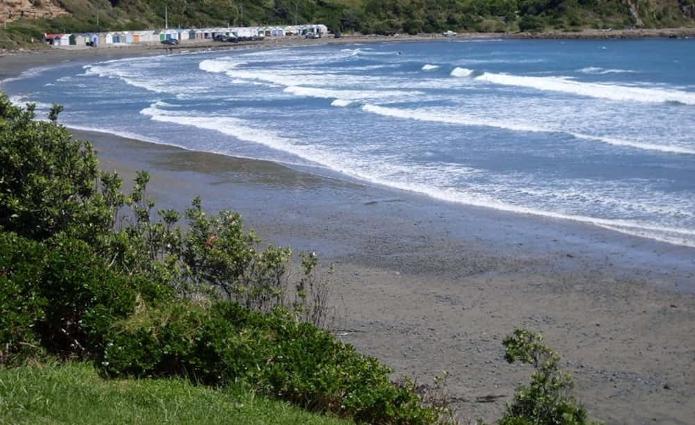 Porirua Coastline Scenic View Wallpaper