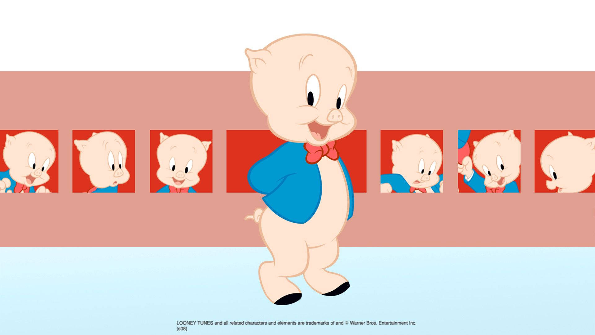 Porky Pig Cartoon Warner Bros Wallpaper