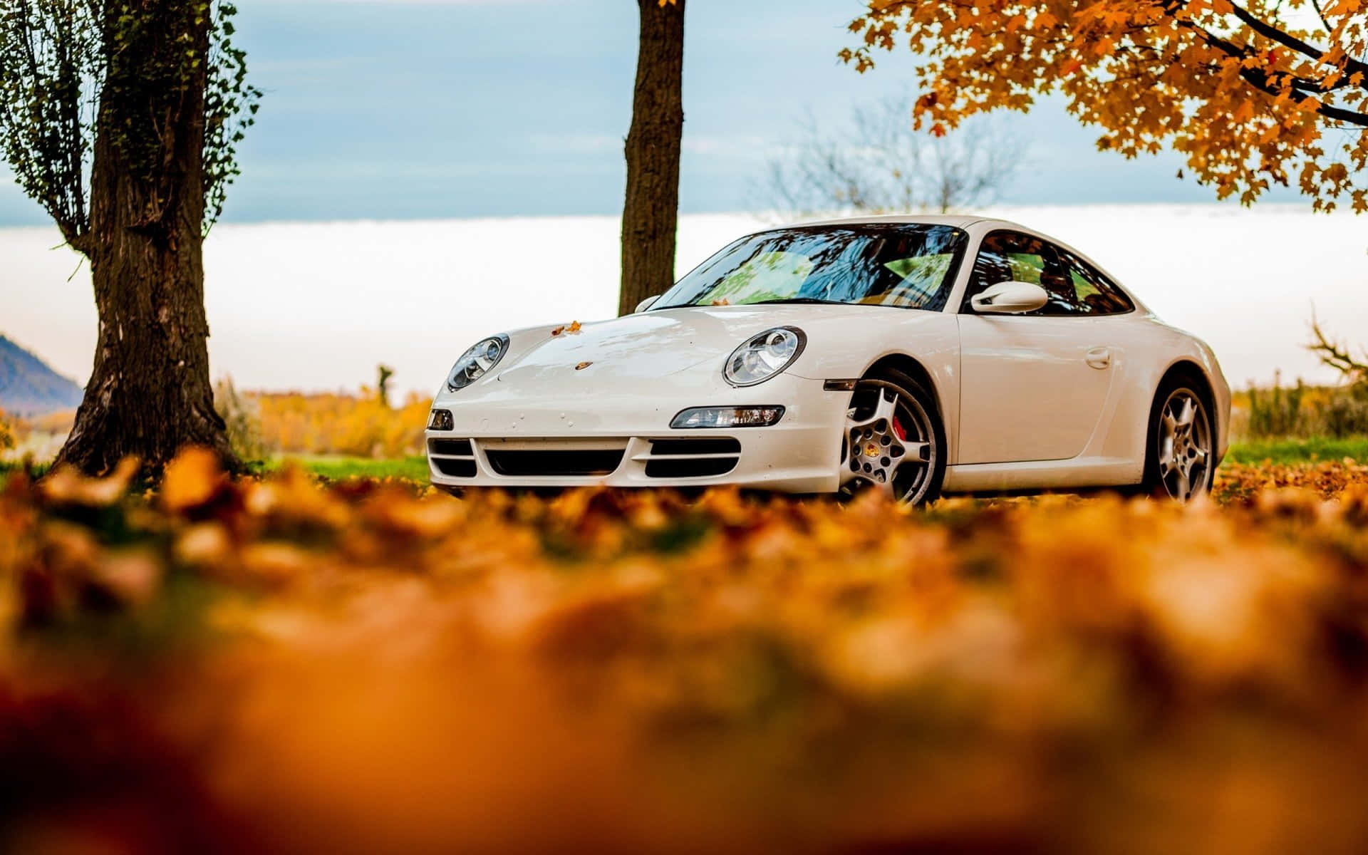 Elegant Porsche 911 on a scenic mountain road