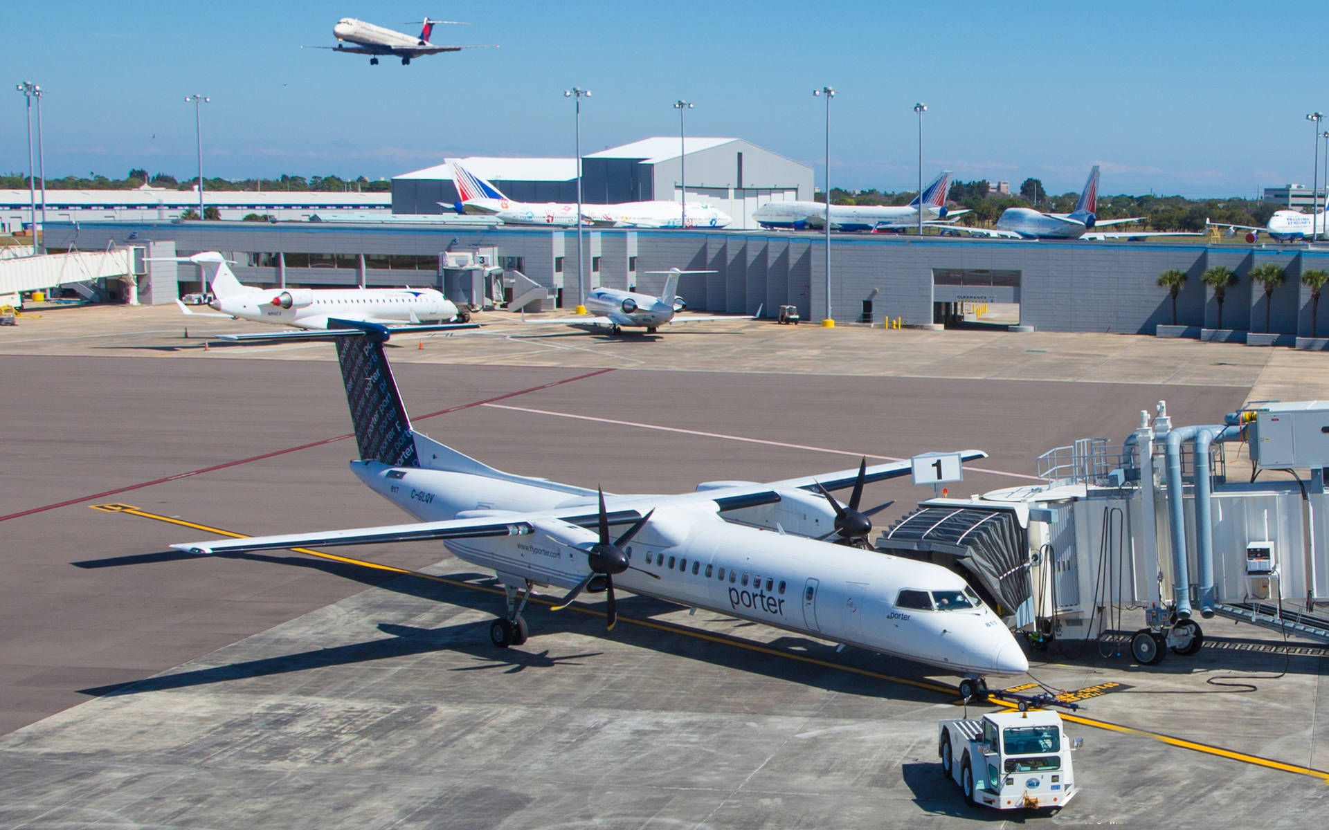Porter Airlines Aircraft Wallpaper
