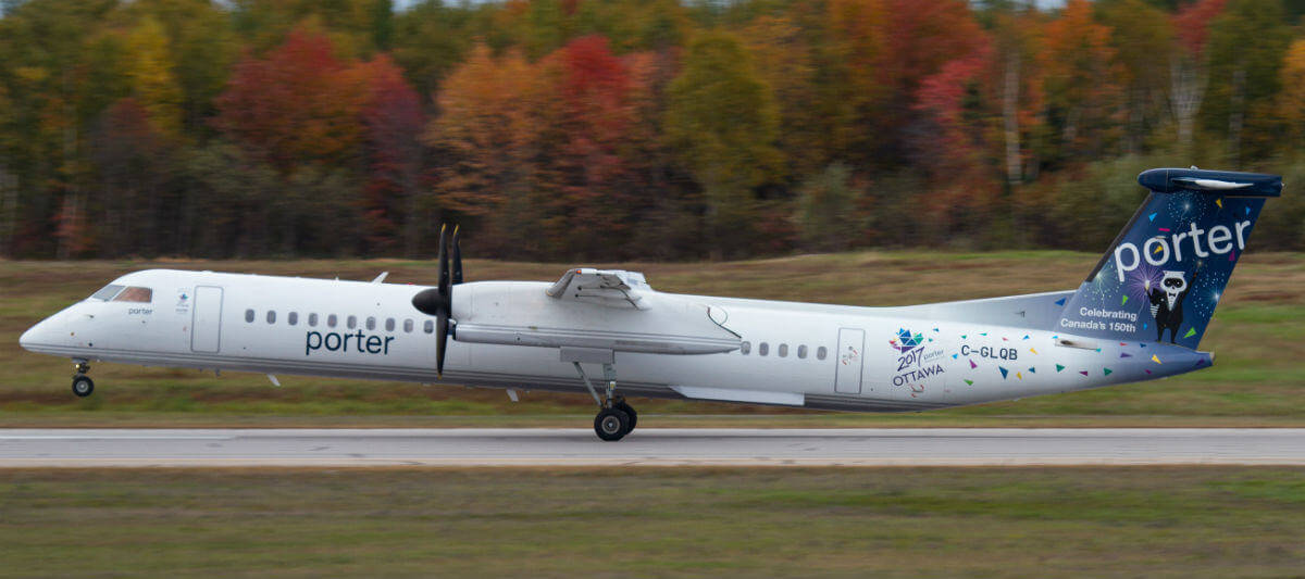 Porter Airlines Autumn Trees Wallpaper