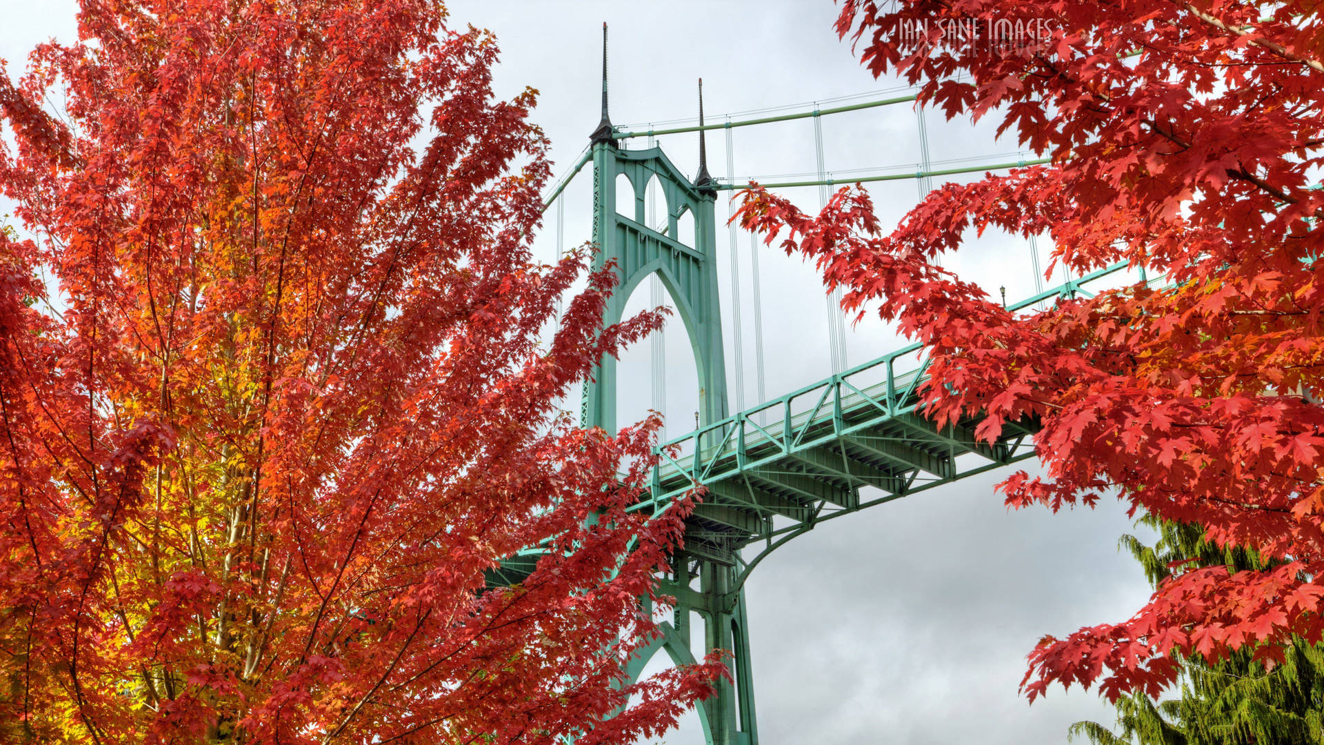 Portland St Johns Bridge Autumn Wallpaper