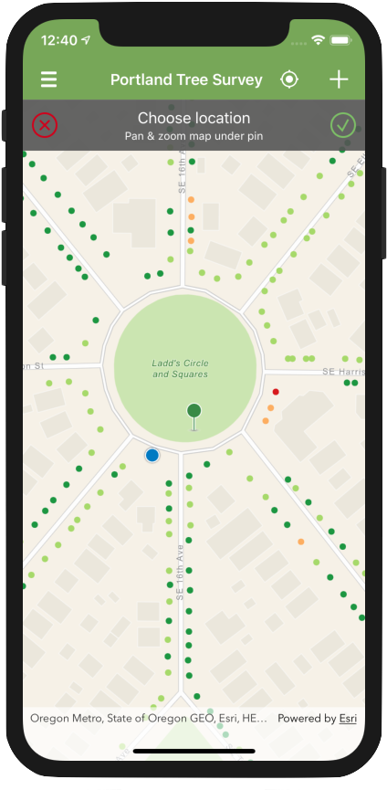 Portland Tree Survey App Screen PNG