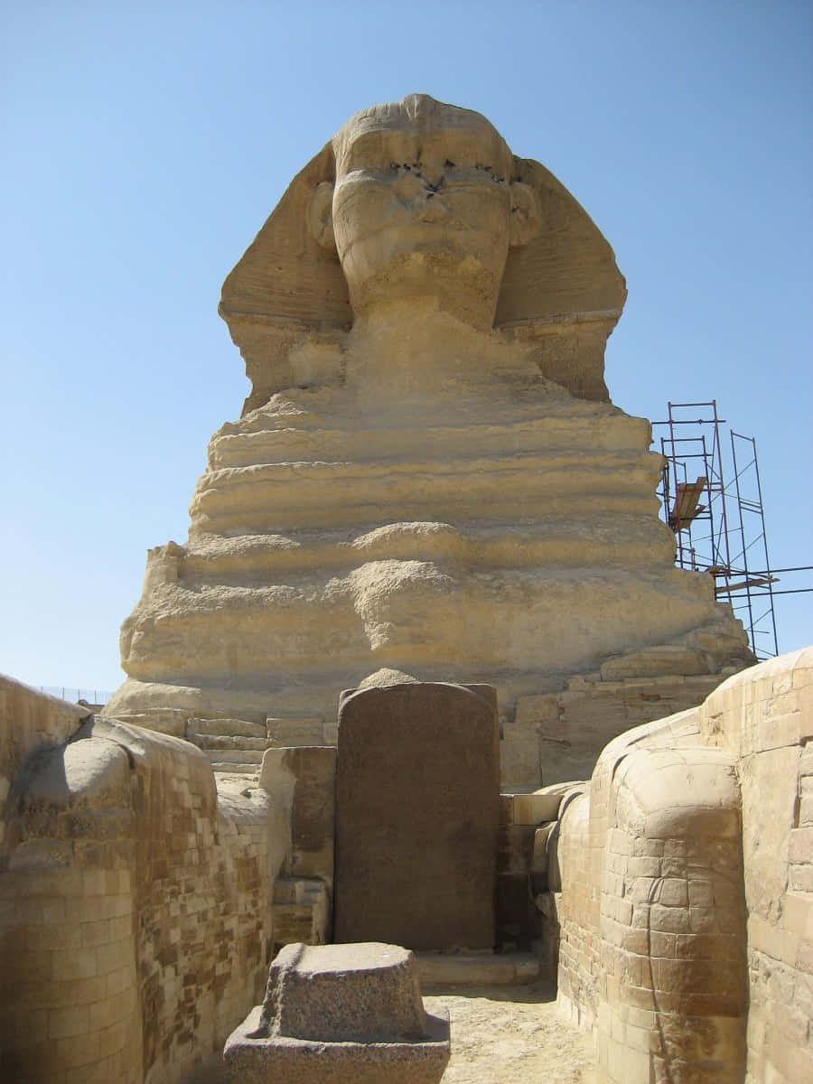 Portrait Ancient Remains Of The Great Sphinx Wallpaper