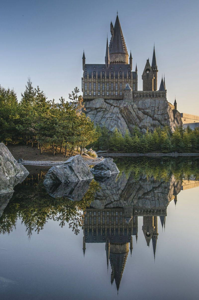 Portrait Harry Potter Hogwarts iPhone Wallpaper