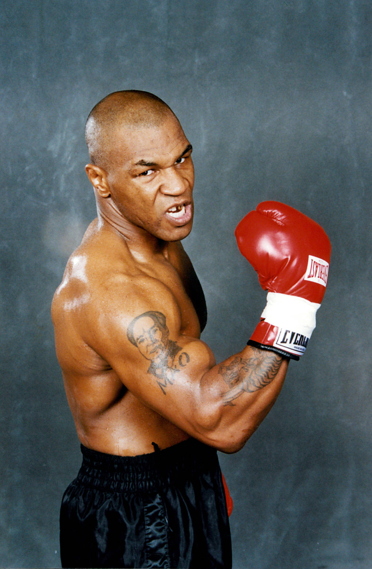 Mike Tyson Wallpaper 68 images