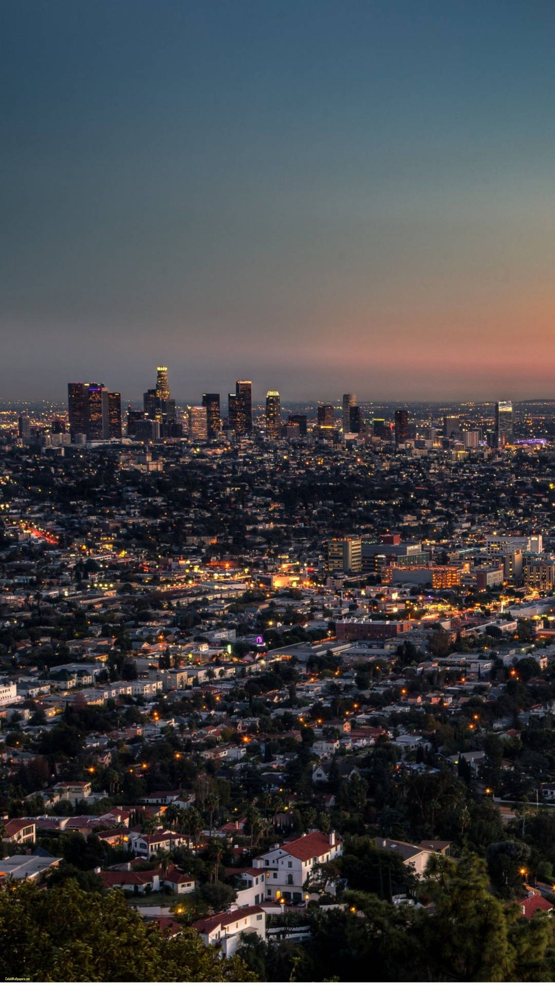 Portrait Panorama Of Los Angeles 4k Wallpaper